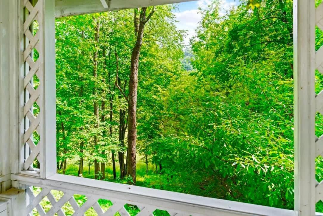 Big Stone Gap Gated Mansion - Basketball Court Movie Theater Views 빌라 외부 사진